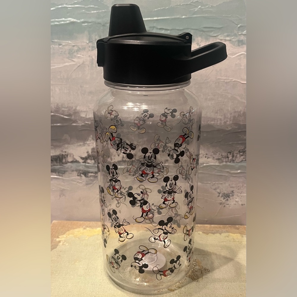 32 Simple Modern Mickey Mouse Water Bottle